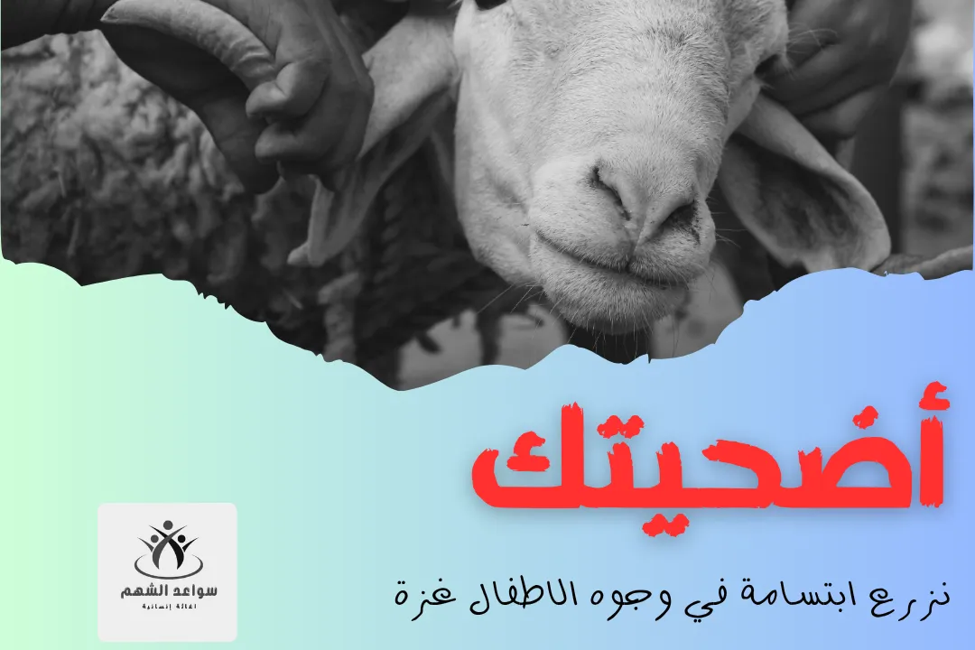 أضحيتك معلبة توصل لغزة